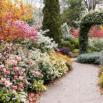 Une allée de jardin aménagée avec des arbustes fleuris et colorés en hiver